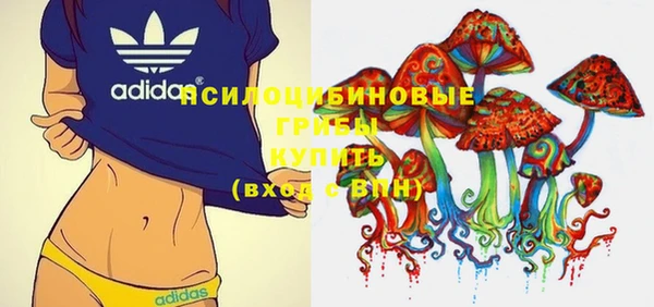 прущие крисы Вязники